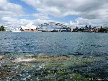 Australie - Sydney - 28 décembre au 31 décembre 2015 - 00103