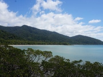Cape-Tribulation-48