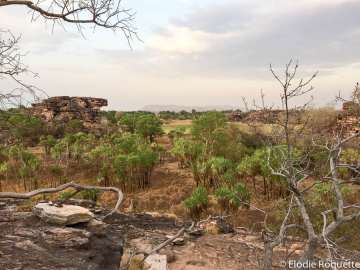 Kakadu et Litchfield - 6 au 8 oct 2015 - 00336
