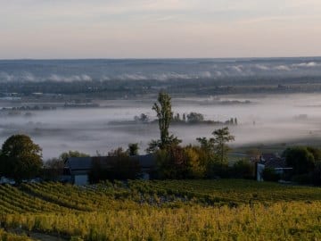 Auvergne-et-Perigord-00535