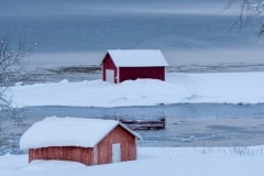 Norvege-Senja-101