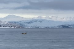 Norvege-Senja-110