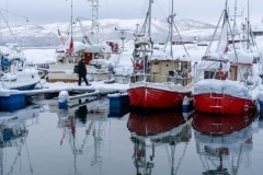 Norvege-Senja-112