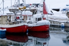 Norvege-Senja-114