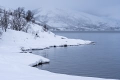 Norvege-Senja-119