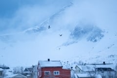 Norvege-Senja-146