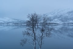 Norvege-Senja-153