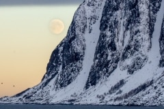 Norvege-Senja-219