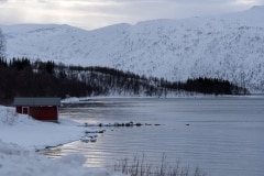 Norvege-Senja-244