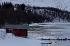 Norvege-Senja-245