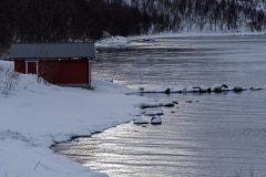 Norvege-Senja-246