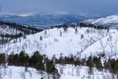 Norvege-Senja-247