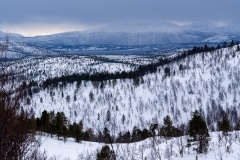 Norvege-Senja-248