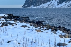 Norvege-Senja-290