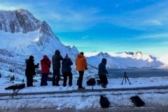 Norvege-Senja-296
