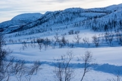 Norvege-Senja-297