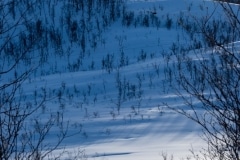Norvege-Senja-301