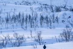 Norvege-Senja-302