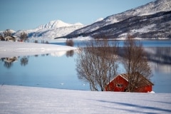 Norvege-Senja-307