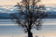 Norvege-Senja-314