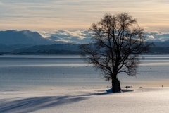 Norvege-Senja-316