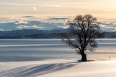 Norvege-Senja-323