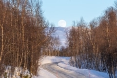 Norvege-Senja-325