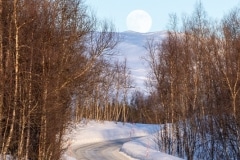 Norvege-Senja-326