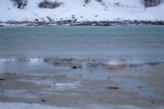 Norvege-Senja-49