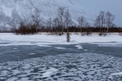 Norvege-Senja-65