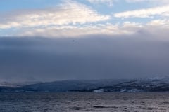 Norvege-Senja-73