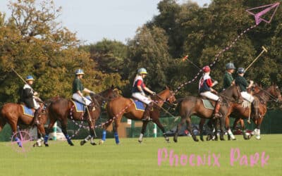 Phoenix Park