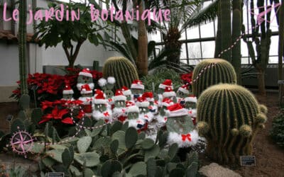 Le jardin botanique