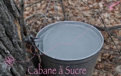 Cabane à sucre