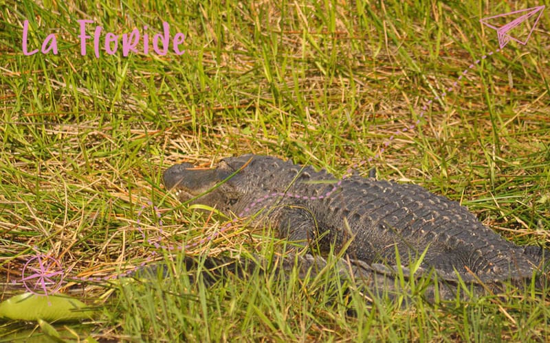 Un weekend en Floride
