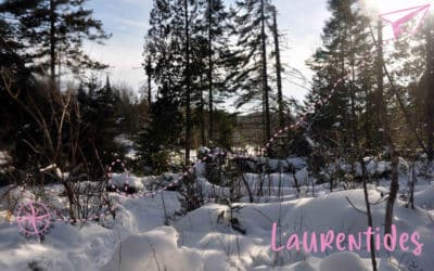 Raquette dans les Laurentides