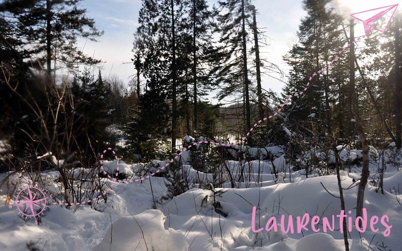 Raquette dans les Laurentides