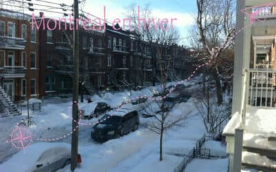 Les joies de Montréal en hiver