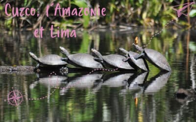 Cuzco, l’Amazonie et Lima
