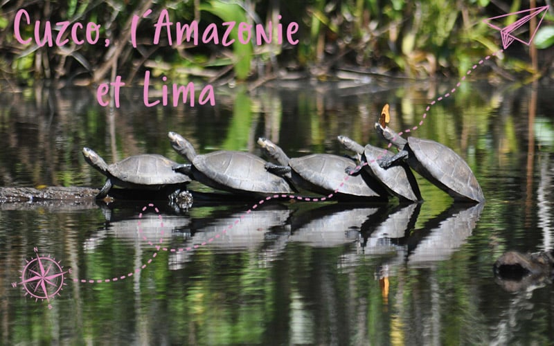 Cuzco, l&rsquo;Amazonie et Lima