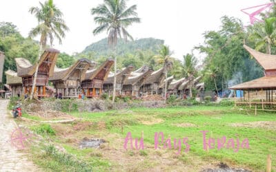 Sulawesi : De Makassar au Pays Toraja