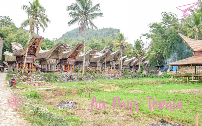 Sulawesi : De Makassar au Pays Toraja
