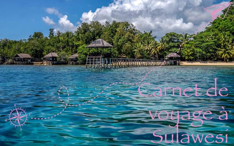 Carnet de voyage sur Sulawesi