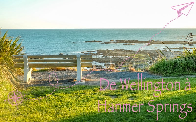 Road Trip : De Wellington à Hanmer springs