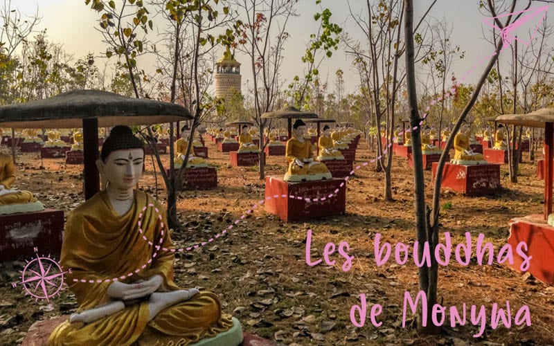 Des Bouddhas par milliers : Monywa