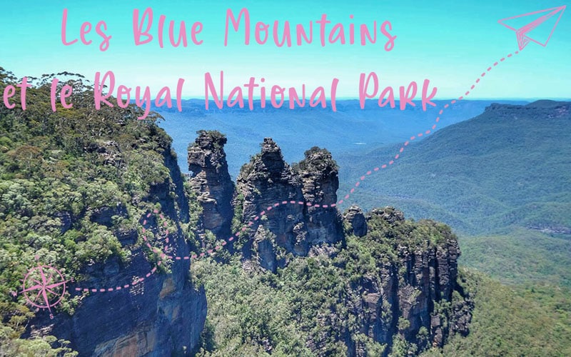 Deux parcs nationaux à visiter près de Sydney : Les Blues Mountains et Royal National Park