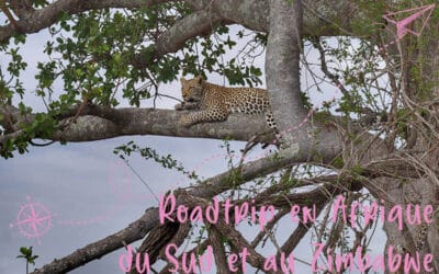 Roadtrip en Afrique du Sud et au Zimbabwe : La vidéo