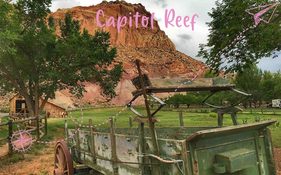 Capitol Reef : une oasis au milieu du désert