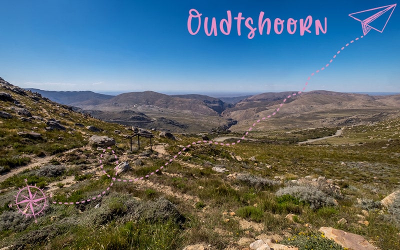 Oudtshoorn au pays des autruches