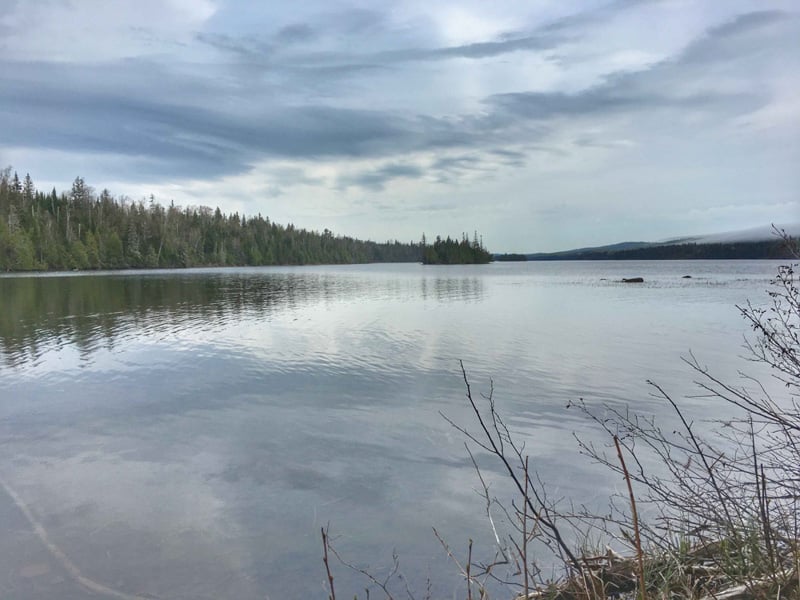 Le long des grands lacs - 00014